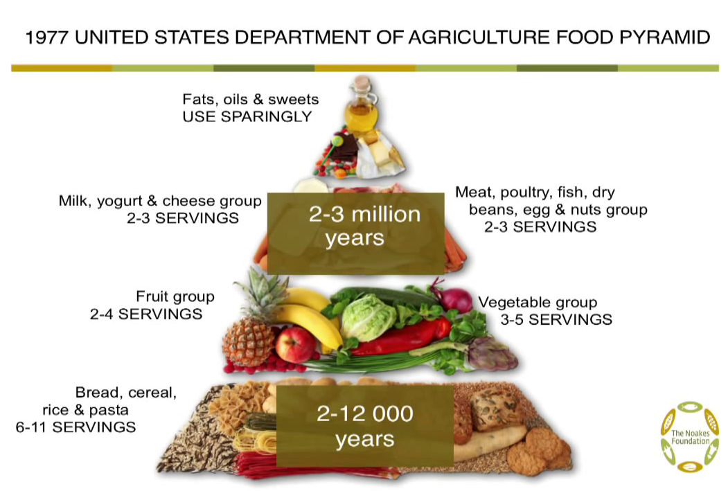 Arctic food. We should limit fats, Oils and Sweets..