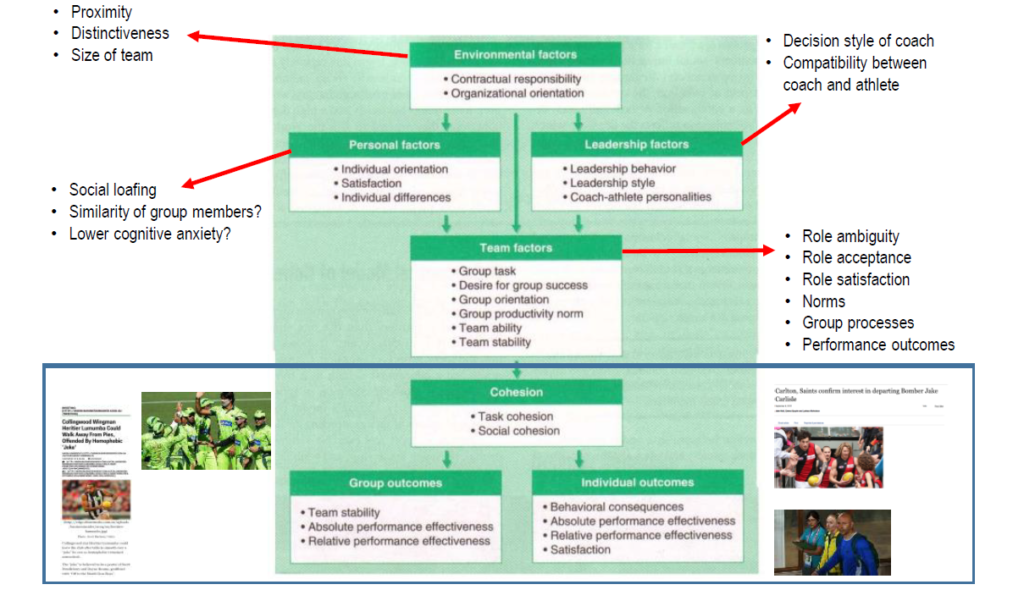 Behavioural Aspects of Sport and Exercise (HSE309 T1, 2017) - Alexander ...